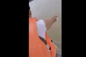 看完这些伪善的放生骚操作，你真的会被气笑图片