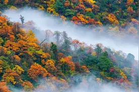 国庆自驾游四川 | 推荐8条3-4日游玩线路图片