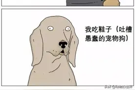 呆萌漫画：当动物会说话时，动物如何吐槽人类呢？图片
