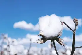 如何选择百搭T恤，七款T恤上身试穿告诉你图片