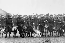 帮助日军的不是汉奸，而是动物，抗战时期这种动物比鬼子都可怕图片