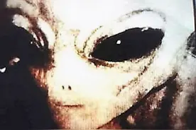 美国科学家自曝见过外星人，还拿出了证据！外星人可能从哪儿来？图片