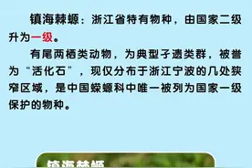浙江新增一批国家一级二级保护动物，你能叫出它们的名字吗？图片