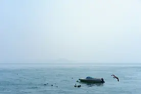 海驴岛位于成山头的北部海域，距陆地最近距离为4海里图片