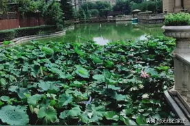 「走向我们的小康生活」桥西区：城中村居民的华丽转身图片
