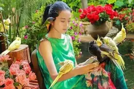 杨丽萍被骂上热搜：女人的价值，靠生孩子来定义？图片