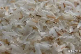 通便刮油瘦肚子，「车前子壳粉」到底有多好用？用过的人说好图片