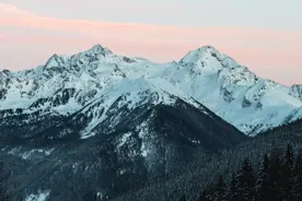 2021年我国冬虫夏草行业现状：市场需求整体增长 产量呈波动趋势图片