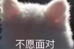 和对象在床上时不小心放了个屁图片