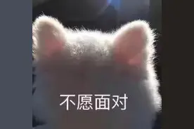 和对象在床上时不小心放了个屁图片