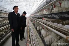 河南这个村只有2000多人，办的企业产值却超千万！图片