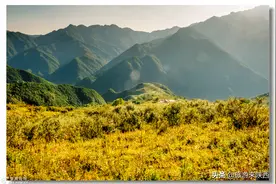 距西安最近、最美的高山草甸，流峪寺草甸图片