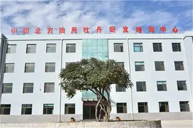 八种牡丹嫁接术｜甘肃中国树牡丹种植源头生产基地_中川牡丹园图片