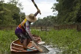 把食人鱼当成“点心”，菜刀都砍不动的鱼，却被棒槌敲到了濒危图片