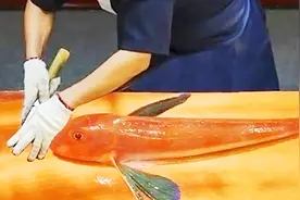 飞鱼刺身没吃过？看日本大厨制作飞鱼生鱼片，看了你一定有胃口视频封面