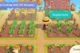 《集合啦！动物森友会》史上最大更新！新增种田和烹饪系统图片