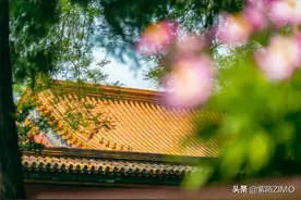 久违了故宫！时隔3个月故宫再度对外开放！现在的故宫是什么样？图片