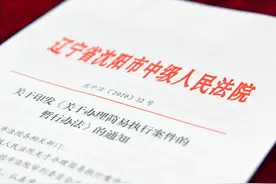 沈阳中院出台办理简易执行案件暂行办法，促分流提质效图片