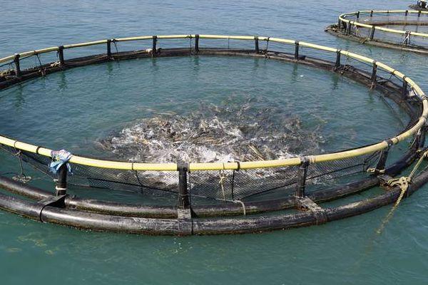 姘ㄥ熀閰歌偉姘磋啅鍘熸潵鏈夎繖浜涗綔鐢? onerror=