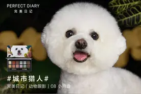 讲真，人人可以做“联名款”的时代来了图片
