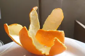 吃完的橘子皮别扔了，养花肥料可除臭，土壤碱性可调酸图片