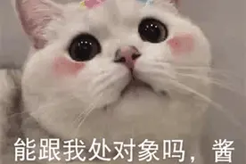 沙雕表情包 | 干啥啥不行 睡觉第一名图片