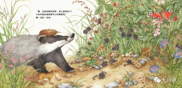 经典绘本大推荐