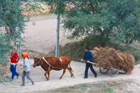 在农村那些年，做过的荒唐事图片