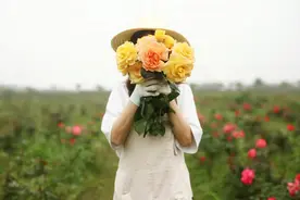 美到犯规！这个500亩的有机庄园，成三产融合教科书图片