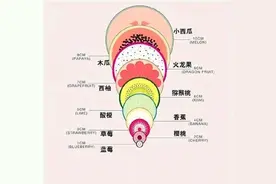 顺产开十指是多大？“水果比喻图”给你直观感受，当妈太不容易图片
