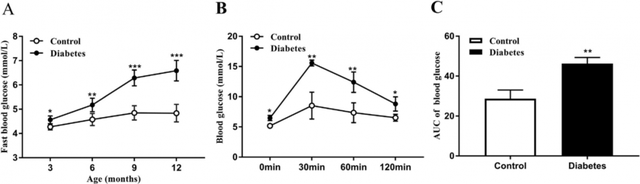 小肠蛋白质组学联合血清代谢组学揭示T2DM中华仓鼠氨基酸代谢紊乱