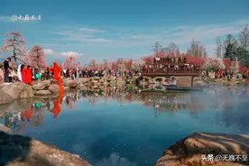 成都当下最火爆的赏花地——青城大观镇，解语问花村图片