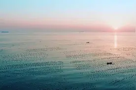 再登央视！威海这个东西全国出名了图片