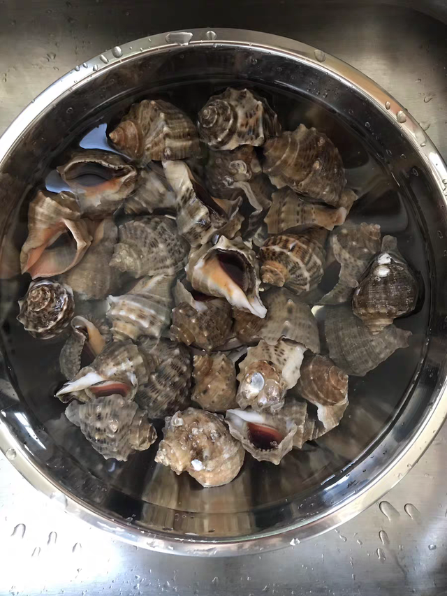 这些补充蛋白质的水产，常吃有益，但吃无妨