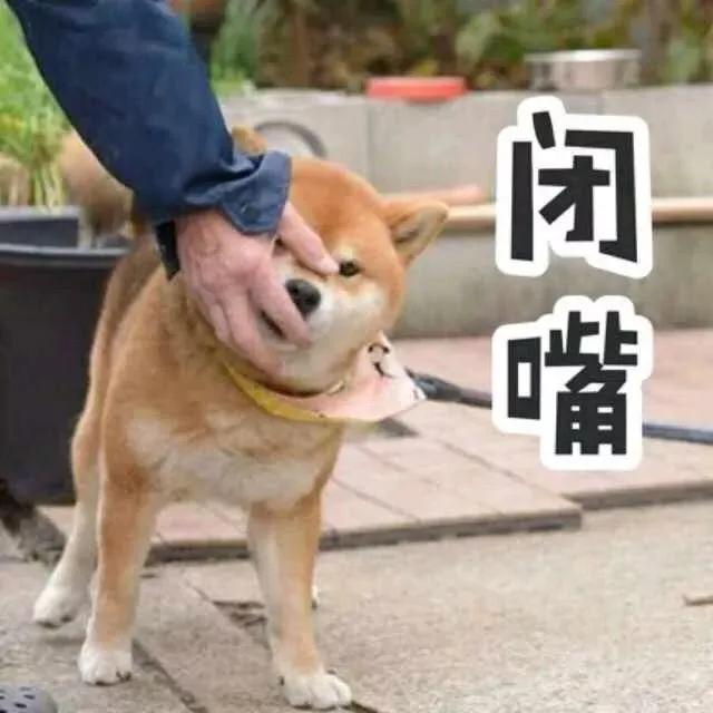 һֻҪǮ