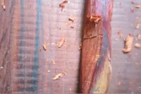 小叶紫檀和酸枝的区别图片