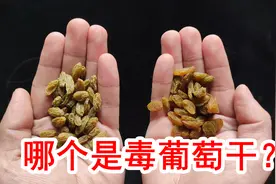 有毒的熏硫磺葡萄干不要选，5个妙招鉴别要记牢，请您分享给家人图片