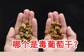 有毒的熏硫磺葡萄干不要选，5个妙招鉴别要记牢，请您分享给家人图片