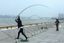 深一度 | 钱塘江垂钓的矛与盾图片