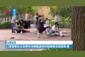 新民快评 | 戏谑式围观“引发动物效仿”的打架图片