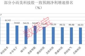 小而美科技股名单出炉，PEG法筛出价值低估股，7股一致上涨空间超80%图片