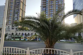 人海茫茫已陌路，浪迹天涯一孤舟图片