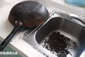 哪家的锅底都有灰图片