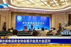 湖北省食品安全协会首次会员大会召开视频封面
