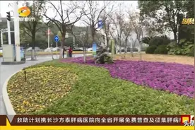 长沙五纵五横主干道沿线打造“城市客厅”图片