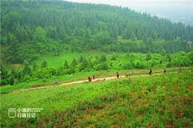 世界最大的植物园，西安秦岭里的秘境，邂逅2000年前诗经里植物图片