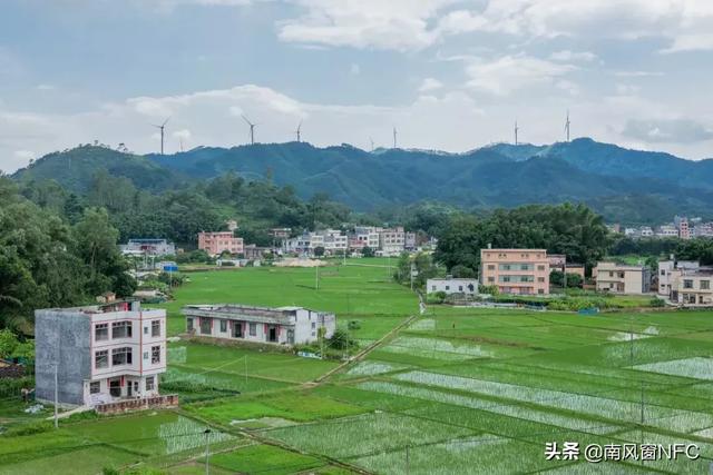“鬼火”焚身