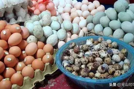 带壳鸡蛋要煮多久才熟？更有营养，看看就明白图片