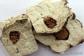 一味让人“深睡”的中药图片