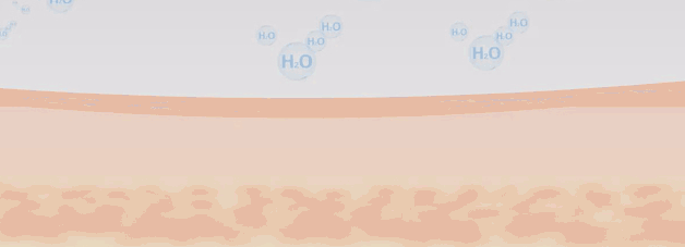 身体乳女补水清爽